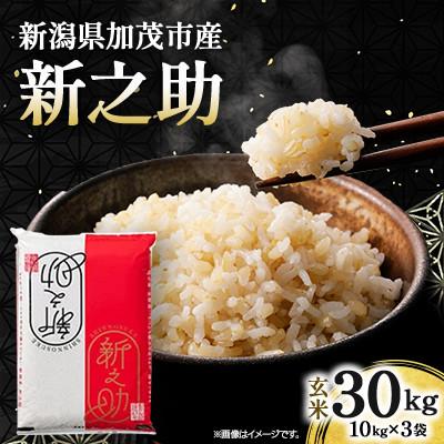ふるさと納税 加茂市 令和7年産　新之助　玄米30kg