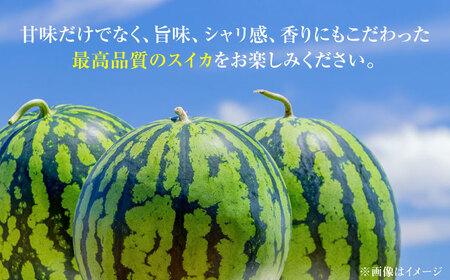 【先行予約】日田天領 西瓜 1玉 約7kg～10kg 100サイズ 日田市 / 日田天領西瓜部会[ARBD001]