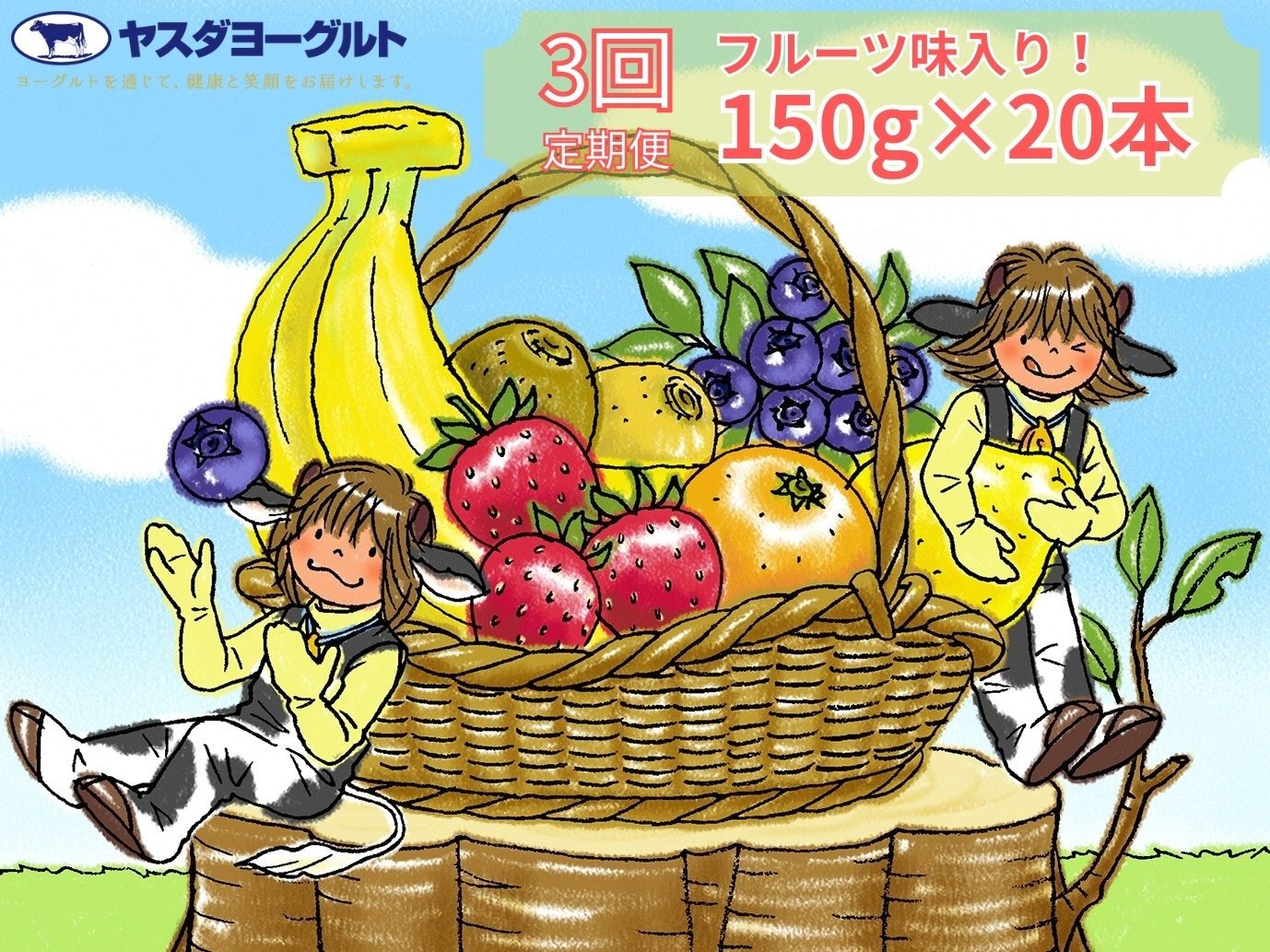 
                  【3か月定期便 飲むヨーグルト】ヤスダヨーグルト ミニミニお試しセット 150g 合計60本（20本×毎月お届け全3回）無添加 新潟県産生乳 | 新潟県産ヨーグルト 安田ヨーグルト やすだヨーグルト ドリンクヨーグルト のむヨーグルト ヨーグルト 生乳 乳製品 飲み比べ 小ボトル ブルーベリー 脂肪ゼロ 季節限定 定期便 新潟県 阿賀野市 1B68031
                