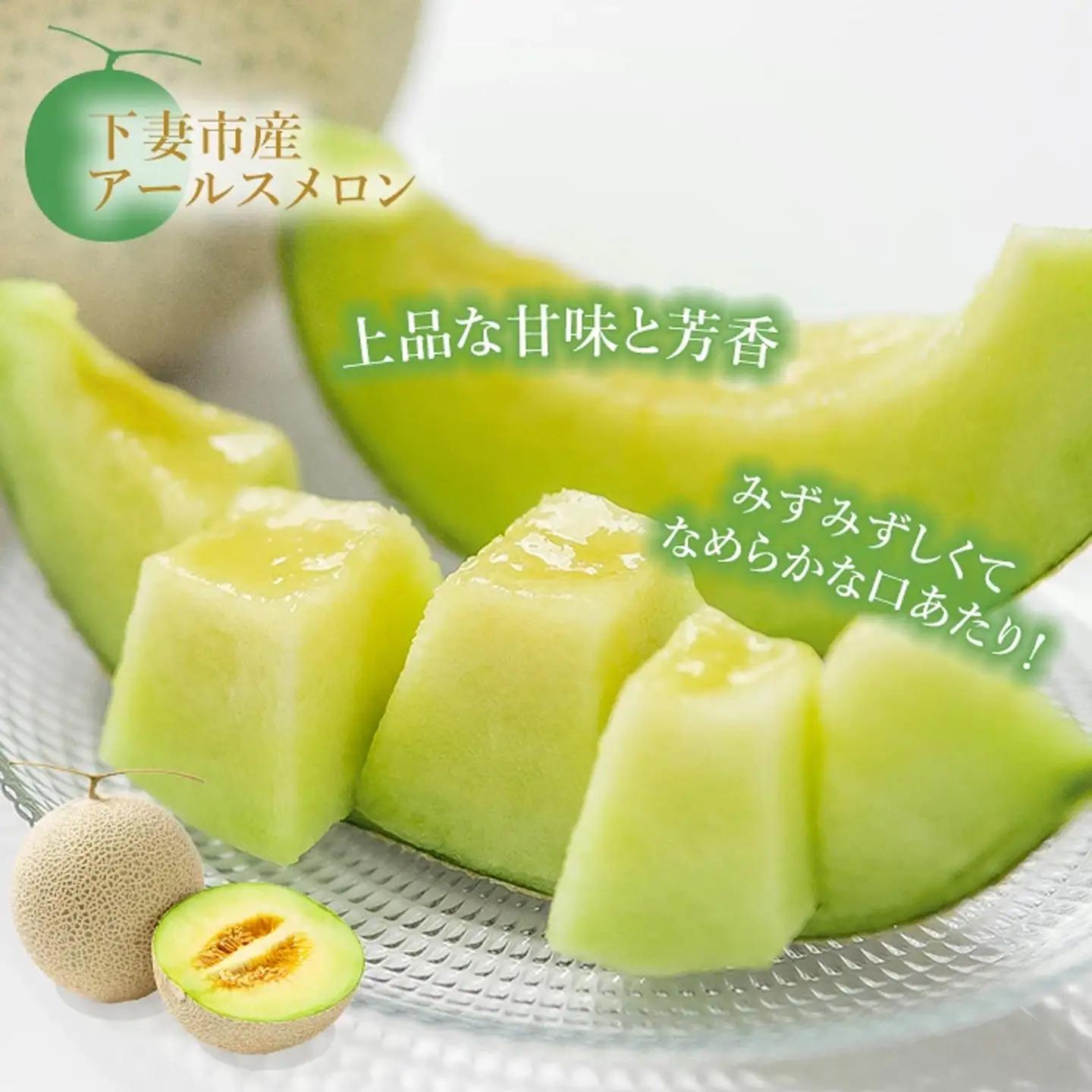 メロン 茨城県産 R8年産 アールスメロン 約2.5kg 2個