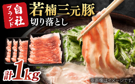 佐賀県産 若楠三元豚 切り落とし 計1kg（250g×4パック） / 佐賀県 / 株式会社ナチュラルフーズ [41AFAB002]
