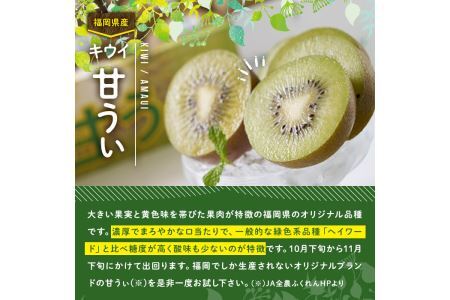 ＜先行予約受付中！2026年10月下旬～11月下旬に順次発送予定＞甘うぃ キウイ(約1.5kg・12-15玉)＜離島配送不可＞【ksg0124】【南国フルーツ】