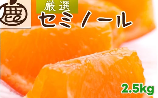 セミノール オレンジ 厳選 2.5kg+250g（痛み補償分） 光センサー / みかん 甘い 高級 柑橘 晩柑 和歌山 有田 ※4月上旬～6月下旬ごろに順次発送 ※北海道・沖縄・離島への配送不可 【i