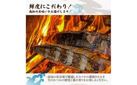 “生”かつおの藁焼きたたき食べ比べセット（生姜塩・たれ・薬味付き） 鰹のタタキ 1～3節（500g～700g） 3～5人前 藁焼き 生姜塩 薬味 タレ付き 冷蔵 本場 鰹タタキ 生鰹 かつおのたたき