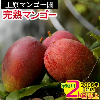 2026年発送 農家直送【上原マンゴー園】家庭用完熟マンゴー　2kg以上　先行予約 完熟 マンゴー アップル 南国 沖縄 フルーツ くだもの 果物 果実 先行予約 産地直送 贅沢 濃厚 冷蔵 スイーツ デザート 旬の果物 ご家庭用 ご自宅用 国産