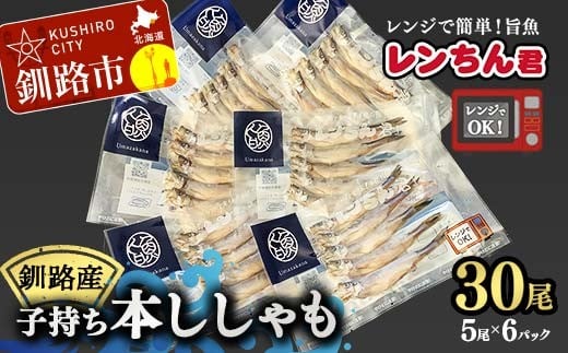 レンちん君釧路産子持ち本ししゃも30尾セット シシャモ  冷凍 魚 海産物 一夜干し 北海道 F4F-8444
