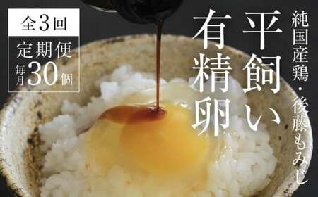 【全3回定期便】平飼い有精卵 30個《西粟倉村》【株式会社点々】t-SS-BnDA