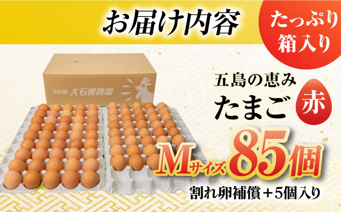 【お得な箱入り】五島の恵みたまご Mサイズ 85個入 / 卵 赤玉子 五島市 / 五島列島大石養鶏場 [PFQ004]