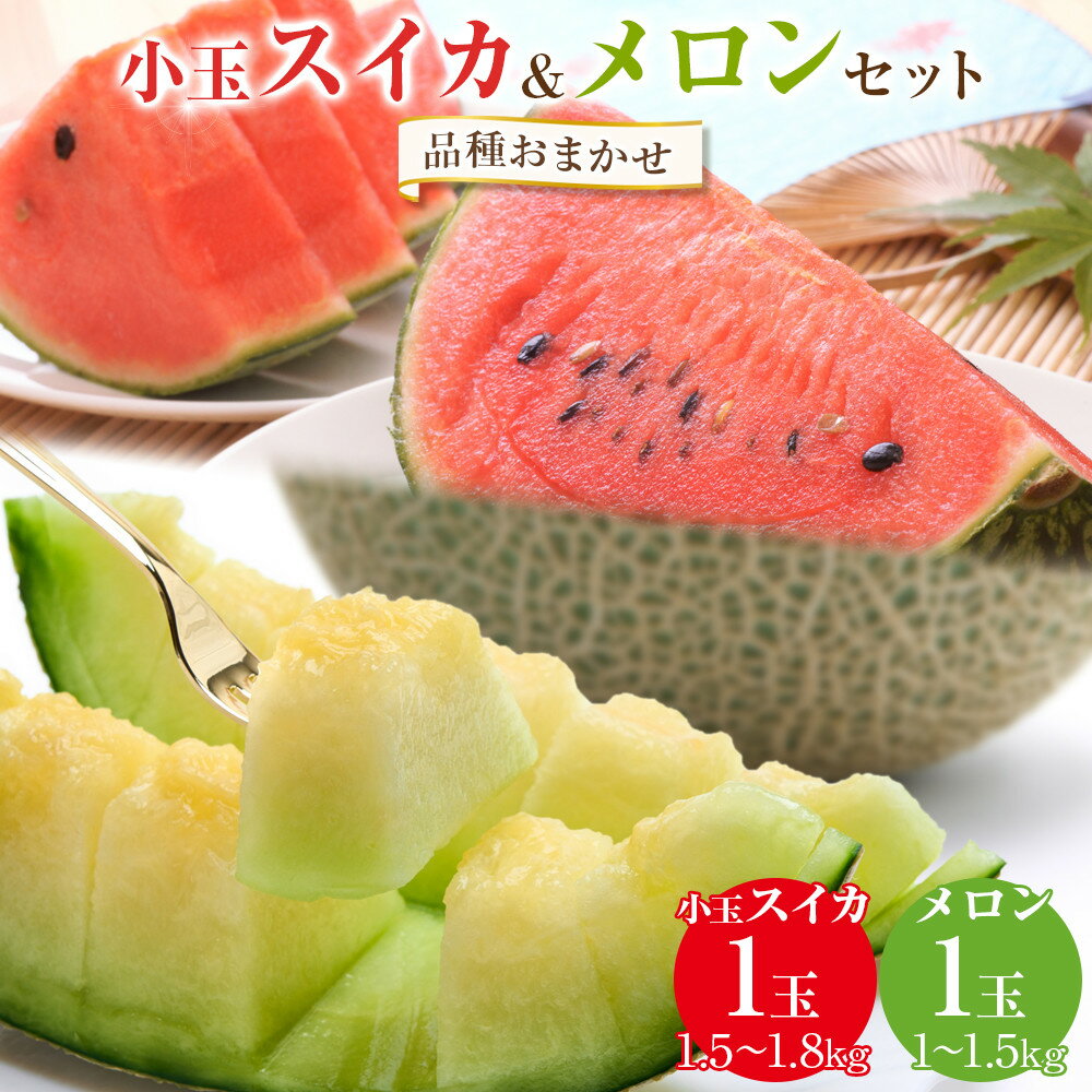 【ふるさと納税】255.【品種はおまかせ】小玉スイカ1玉とメロン1玉セット ※6月上旬～7月中旬頃に順次発送予定 | 西瓜 スイカ メロン セット商品 果物 フルーツ くだもの 鳥取県 北栄町 おすすめ 人気 送料無料