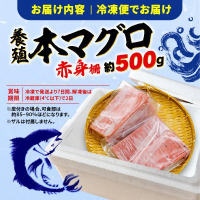 ふるさと納税 藤枝市 【訳あり】本鮪 赤身　500g |  | 02