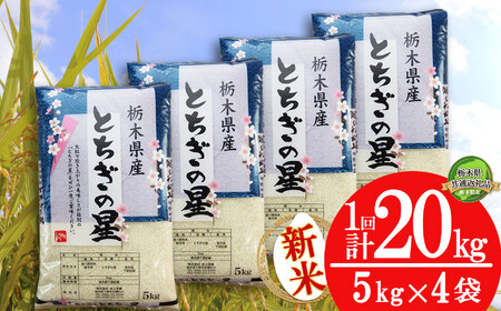 【栃木県共通返礼品】【先行予約】とちぎの星 20kg（5kg×4袋） | 米 こめ コメ kome 白米 精米 お米 とちぎのほし トチギノホシ ﾄﾁｷﾞﾉﾎｼ 粘り 弾力 冷めても美味しい 丼もの カレー 新米 栃木米 令和7年度米 令和7年度 2025年度米 2025年度 ブランド米 栃木県 特産品 送料無料 栃木県 下野市 しもつけ市