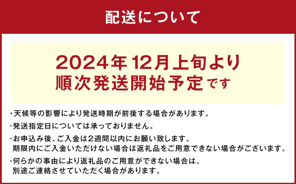 【 訳あり 】“熟成” 茨城県産 神栖市産 さつまいも 【 紅はるか 】 約10kg