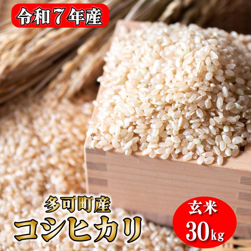 玄米 お米 30kgコシヒカリ 兵庫県多可町産 [1294]