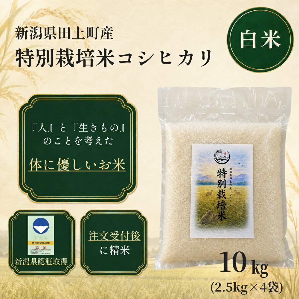 【ふるさと納税】令和8年産 特別栽培米コシヒカリ 10kg