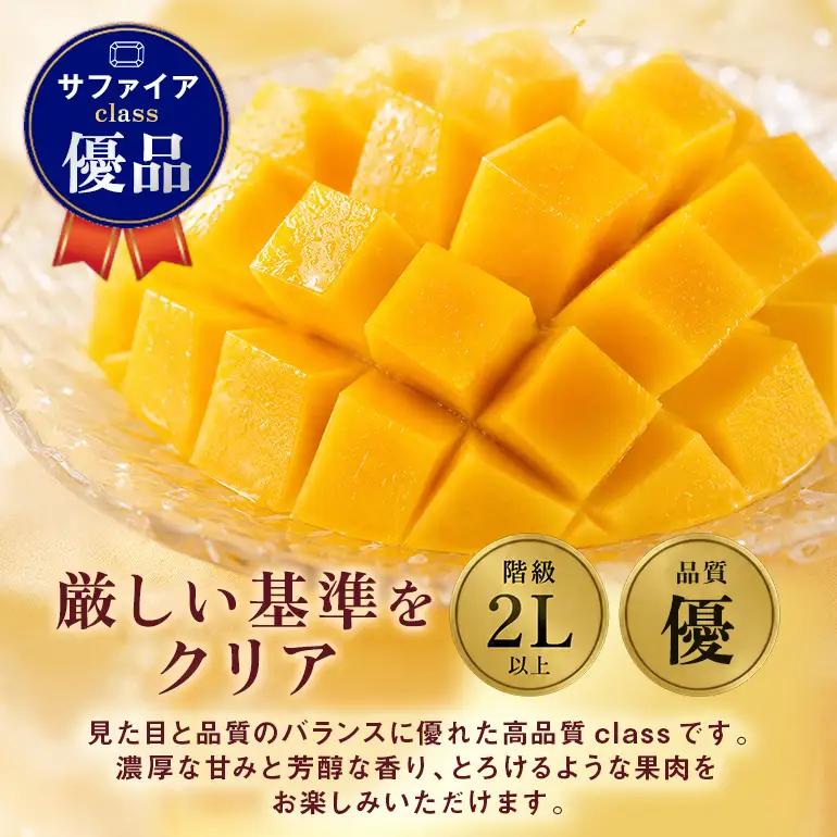 ぼうけんの国 宝石マンゴー 【優品】アーウィンマンゴー サファイアclass 約1kg ku01-005
