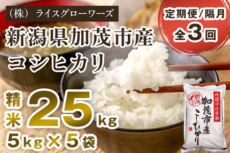 【令和7年産】【定期便3回隔月お届け】新潟県加茂市産コシヒカリ 精米25kg（5kg×5）《順次出荷》 白米 （株）ライスグローワーズ