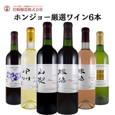 ふるさと納税 甲州市 ホンジョーワインおススメ6本セット