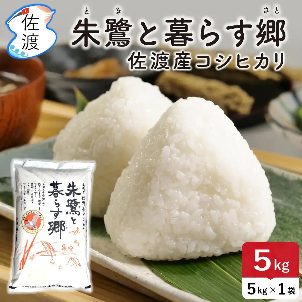 コシヒカリ 令和7年 白米 5kg お米 コシヒカリ | 朱鷺と暮らす郷 新潟県 佐渡市 195962-0913