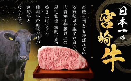 ≪肉質等級4等級以上≫宮崎牛ロースステーキ(計1kg) 肉 牛 牛肉 焼肉 国産_T030-016【人気 ロース ステーキ ギフト ロース ステーキ 食品 ロース ステーキ 焼肉 ロース ステーキ 宮