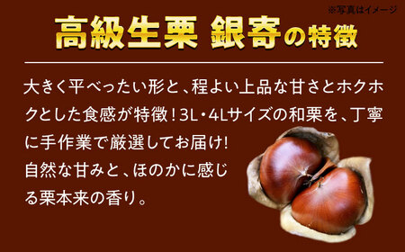 【和栗の代表！上品な甘さ！】あじさい農園の高級生栗「銀寄」（1kg）　愛媛県大洲市/あじさい農園/合同会社あじさい[AGAE010]