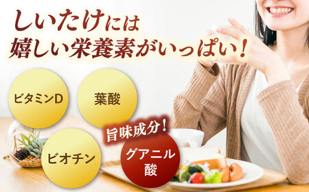 椎茸パウダー 50g×3袋セット 桂川町/オドラ株式会社[ADBA006]
