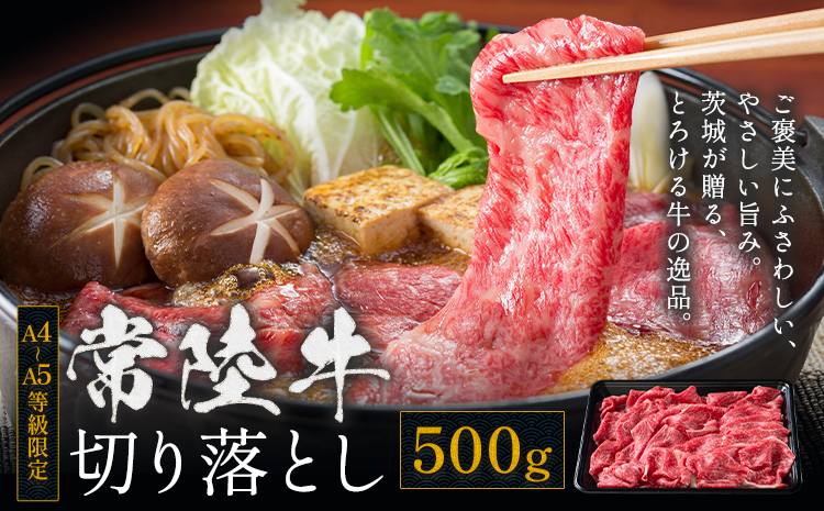 常陸牛 黒毛和牛 牛肉 切り落とし 500g 茨城県 結城市 《30日以内に出荷予定(土日祝除く) 》お肉 肉 牛肉 和牛 牛肉切り落とし 薄切り ロース 国産 国産牛 すき焼き 牛丼 肉じゃが 焼肉【配送不可地域あり】(離島)