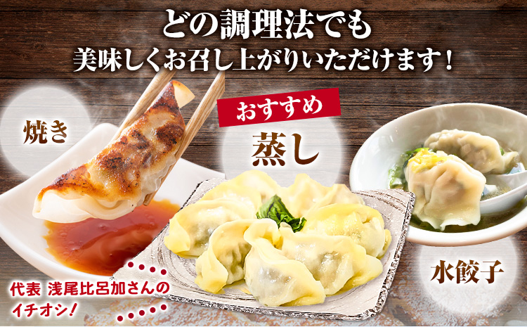 あか牛と高菜の餃子 18個入り×3箱 南阿蘇物産センター《30日以内に出荷予定（土日祝を除く）》熊本県 南阿蘇村 肉 牛 うし 牛肉 あか牛 高菜 たかな 餃子---sms_fautkngz_30d_23_14500_46p---