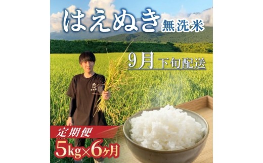9月下旬発送開始／【6回定期便】令和8年産 ［無洗米］はえぬき　5kg×6回(計30kg) 農家直送 HO SG0121
