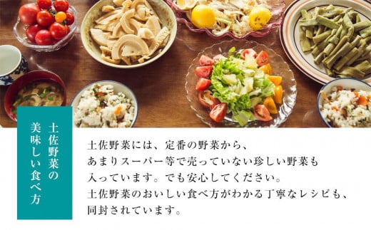 【土佐野菜】野菜の詰め合わせと無農薬生姜100g付き【セット 新鮮 野菜  人気 おすすめ 高知県 南国市】