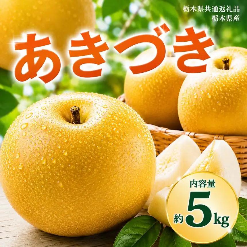 【2027年先行予約】あきづき 約5kg |【栃木県共通返礼品】あきづき 梨 なし ナシ 新品種 先行予約 大粒 新鮮 甘い 美味しい 果物 くだもの フルーツ ふるーつ 共通返礼品 フルーツ デザート 栃木県 那珂川町