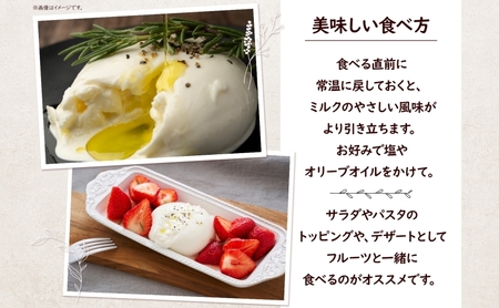 チーズ ブッラータ 160g 2個 手作り 自家製 湘南 チーズ