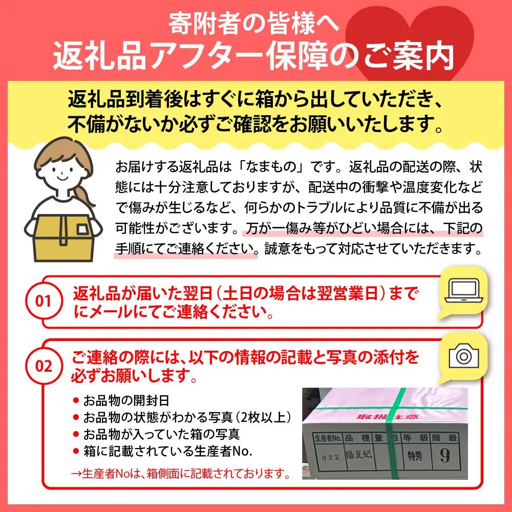 ぶどう シャインマスカット 2kg 令和8年産 山形県産 ぶどう