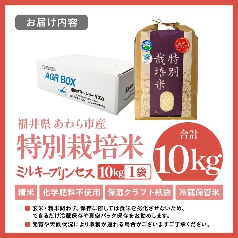 【令和7年産】化学肥料不使用 特別栽培米 ミルキープリンセス 精米 10kg × 1袋 / 白米 米 福井県あわら市産 美味しい 特別栽培米 減農薬 安心な米 旨味 甘み もっちり 冷蔵保管米 [aw