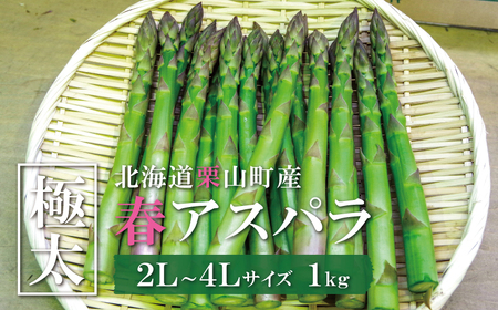極太！JAそらち南 春の味覚「グリーンアスパラガス」2L～4L 1kg前後