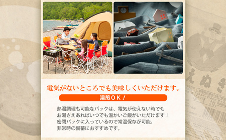【令和7年産】山形県 山形市産 はえぬき パックライス 180g×24パック 5営業日以内発送 [10月以降発送開始] FZ25-305