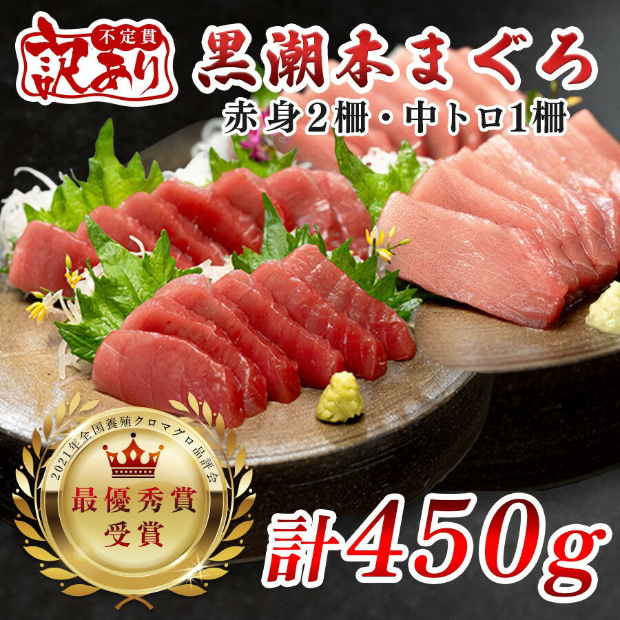 【ふるさと納税】【訳アリ】養殖本マグロ 赤身 中トロセット 450g 黒潮本まぐろ【レビューキャンペーン実施中】｜不定貫 不揃い 2種 刺身用 家庭用 養殖まぐろ 最優秀賞受賞 日本一 配達日指定可 本まぐろ まぐろ 鮪 訳あり ワケあり 小分け 丼 寿司 海鮮 魚 柵 産地直送
