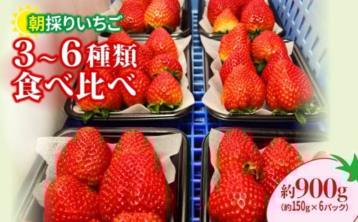 いちご 食べ比べ 150g×6パック 900g | コク 甘み 朝採れ イチゴ 苺 高品質 たっぷり 新鮮 完熟 旬 ストロベリー 高級 産地直送 果汁 甘い あまい 人気 高評価 高糖度 ごほうび プレゼント 朝採れ やよいひめ ななか 恋みのり あまおとめ あすかルビー 贈答用 群馬県 前橋市