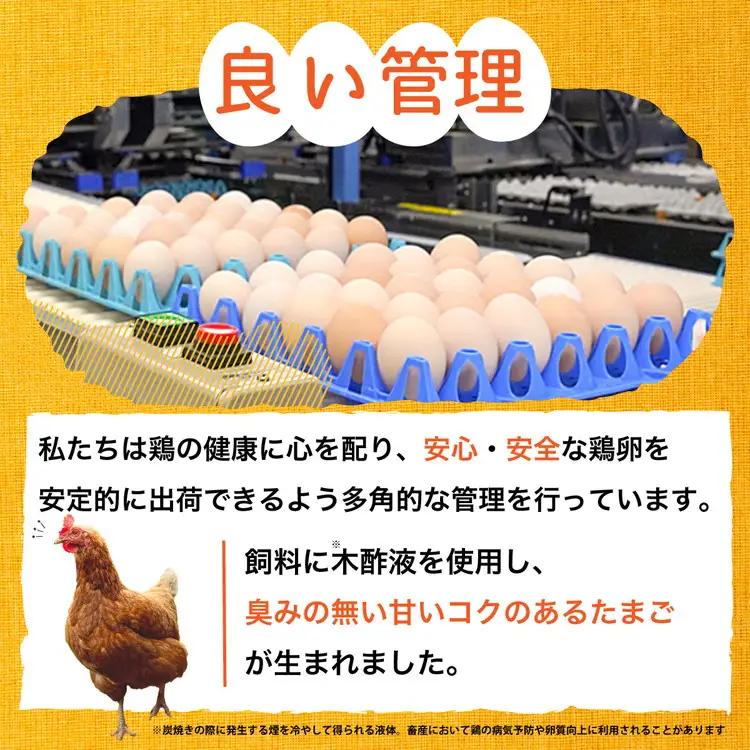 【TVで紹介】【12回定期便】卵 霧の卵 120個 定期便【北海道・沖縄・離島配送不可】