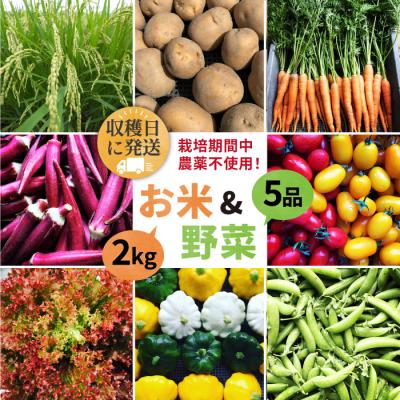 ふるさと納税 糸島市 栽培期間中農薬不使用!お米2kg &amp; 野菜5品のセット オーガニックナガミツファーム[AGE035]