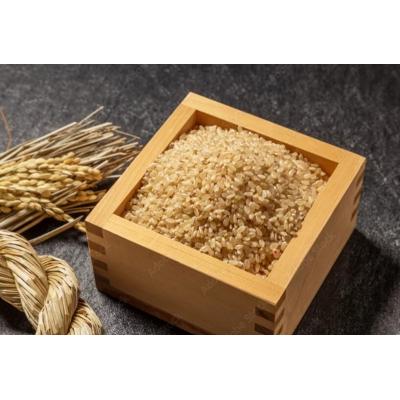 ふるさと納税 焼津市 令和7年産　アースのおこめ　栽培期間中　無農薬　特別栽培米　玄米5Kg(a42-017) |  | 01