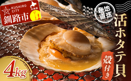 【北海道から直送!!】殻付活ホタテ貝（4.0kg詰）13～20枚 ふるさと納税 ほたて F5F-0119