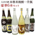 【ふるさと納税】人吉の酒 本格米焼酎一升瓶豪華6本セット 白岳 焼酎 米焼酎 球磨焼酎 酒 一升 6本 セット 飲み比べ お酒 しろ 金しろ 銀しろ 待宵 ギフト 贈り物 送料無料