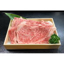 【ふるさと納税】銘撰木曽牛ロース肉(うす切り)約500g【配送不可地域：離島】【1516001】