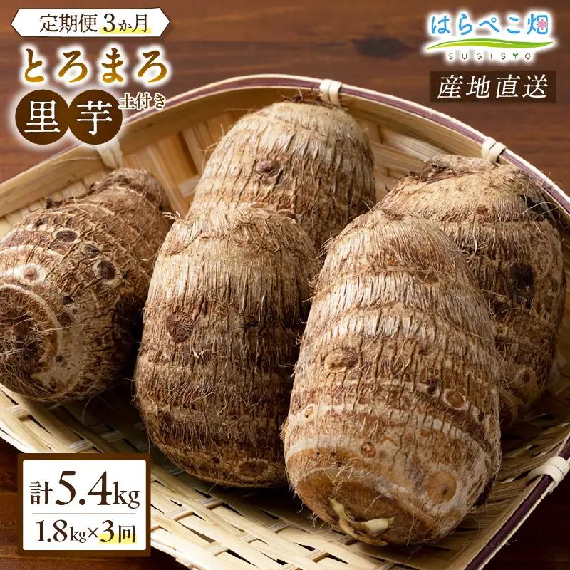 【定期便3ヶ月】里芋『とろまろ』土付き 1.8kg・H135