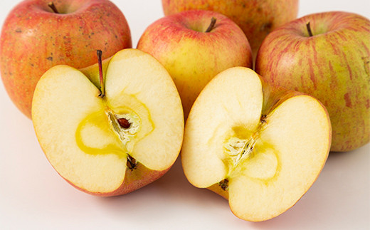 FYN9-913 【農業者支援】 加工用 山形県産 品種おまかせ りんご 約5kg くだもの フルーツ 林檎 リンゴ アップル 秋果実 生産者支援 農業者支援 支援品 自宅用 家庭用 訳アリ ワケアリ