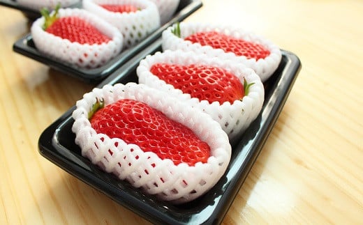 京都誠志郎農園のあきひめの魅力は、その大きさと甘さ。