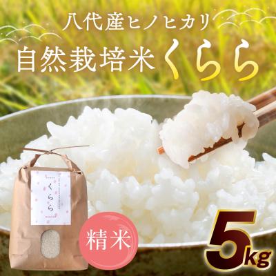 ふるさと納税 八代市 《令和7年産》 自然栽培米 くらら 精米 5kg (八代産ヒノヒカリ)_049-4068-C