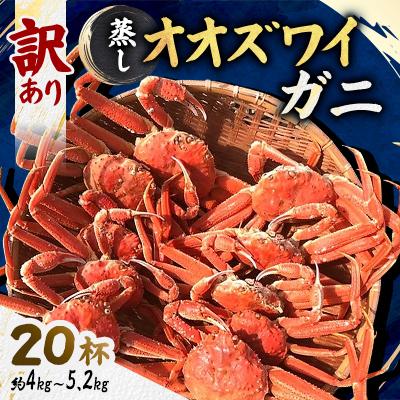 ふるさと納税 様似町 【訳あり】「蒸し」オオズワイガニ20杯　約4kg〜5.2kg