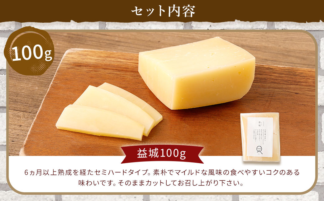 4種の チーズ セット 益城100g 益城ヤング100g 益城ブラウンチーズ60g クマンベール150g 各1個 計410g