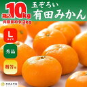 【ふるさと納税】みかん Lサイズ 秀品 箱込 10kg (内容量約 9.2kg) 有田みかん 和歌山県産 産地直送 贈答用 【みかんの会】 | フルーツ 果物 くだもの 食品 人気 おすすめ 送料無料